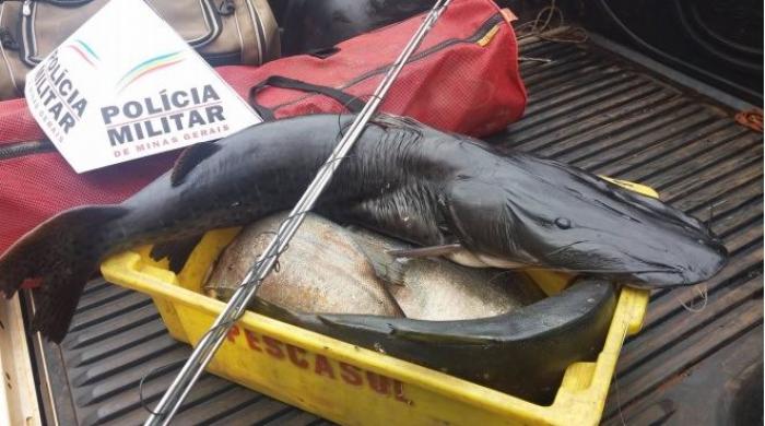 P.M. prende suspeito por pesca em área proibida - Foto: Divulgação 