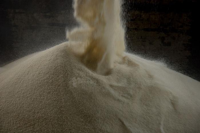 Colômbia exportou 18,33 milhões de dólares em açúcar no ano passado - Foto: Divulgação