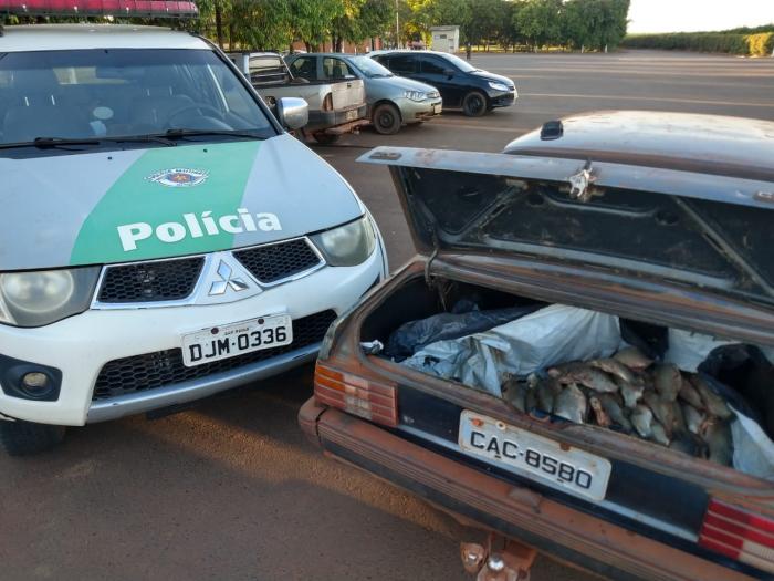OPERA????O: Polícia Ambiental apreendeu veículos com diversos tipos de peixe - Foto: 