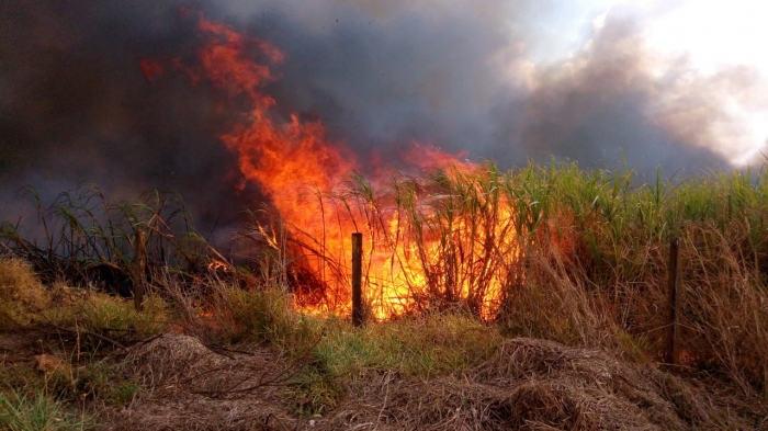 Incêndio em canavial é registrado na entrada da cidade - Foto: Redes Sociais