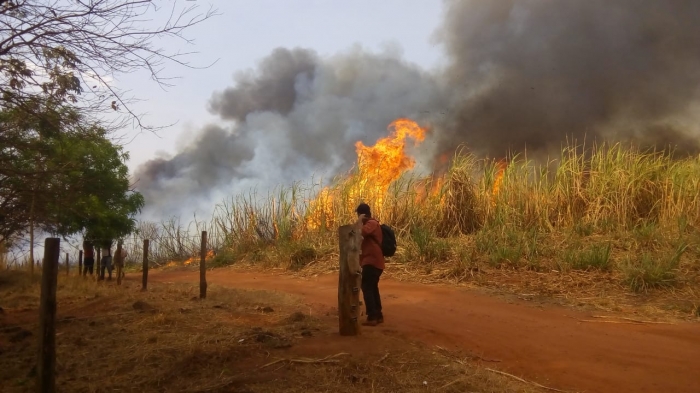 Incêndio em canavial atinge assentamento - Foto: Portal NC