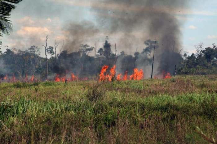 Lei proíbe queimadas no município - Foto: Google Imagens 
