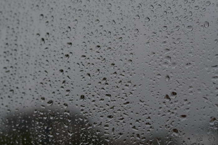 Defesa Civil prevê chuvas de até mais de 100 mm até início de abril - Foto: Portal NC