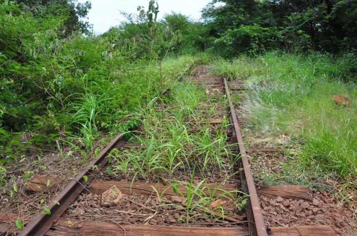 Tribunal prorroga concessão de linha férrea em trecho que beneficia Colômbia - Foto: Tininho Junior