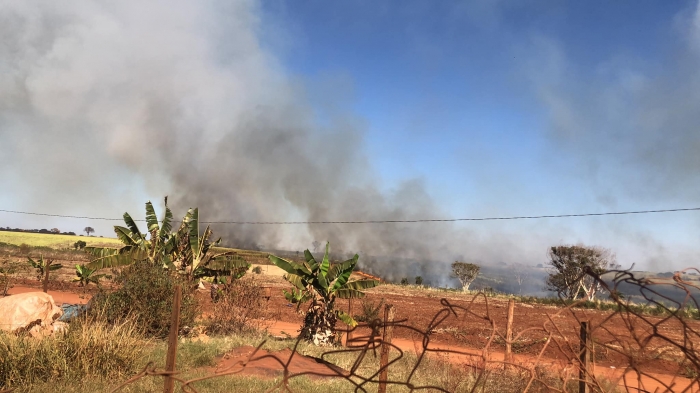 Incêndio atinge canavial na Fazenda Colômbia - Foto: Portal NC