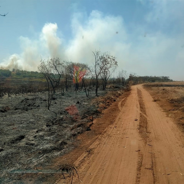 Defesa Civil confirma preocupação com incêndios em áreas de vegetação de Colômbia - Foto: Portal NC