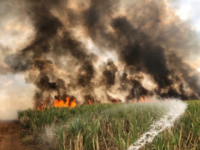 Colômbia tem aumento de focos de incêndio neste ano - Foto: Portal NC
