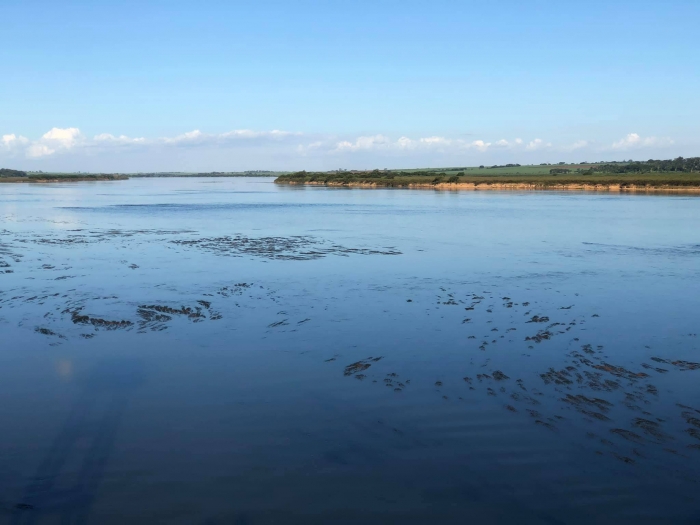 Baixo nível de água no Rio Grande preocupa Defesa Civil - Foto: 