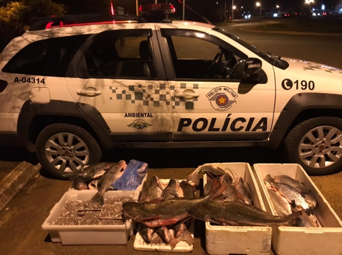 Polícia apreende 120 quilos de peixe sem comprovação de origem - Foto: PMESP