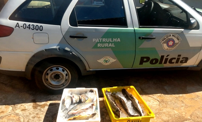 Polícia Ambiental apreende peixes capturados irregularmente - Foto: PMESP