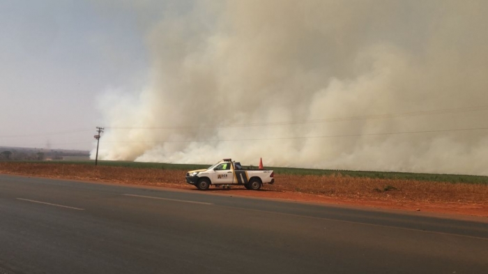 Incêndio atinge canavial às margens da Faria Lima - Foto: 