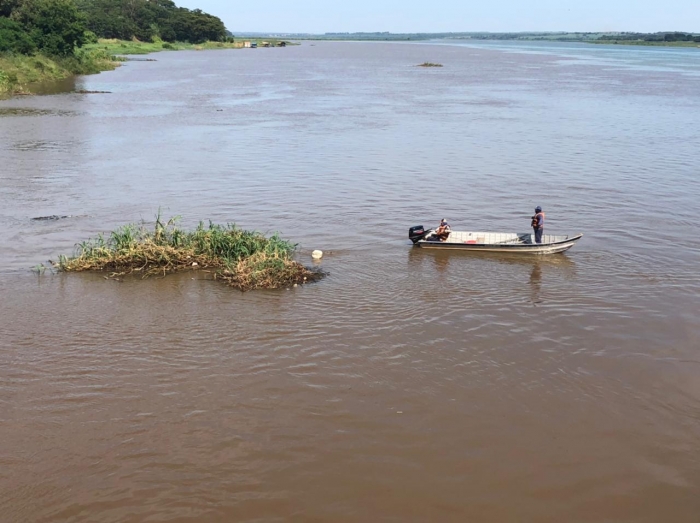 Furnas faz remoção de vegetação aquática no Rio Grande - Foto: 