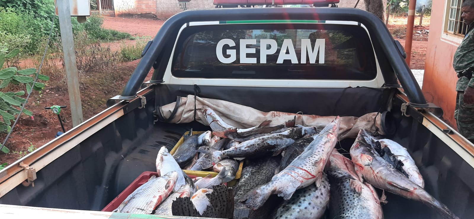 : GEPAM apreende pescado ilegal e recupera produtos de furto no Garimpo do Bandeira.