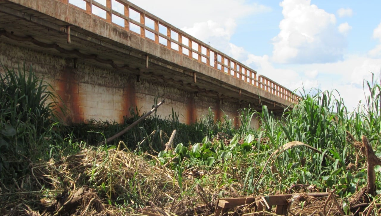 : Vegetação abaixo da ponte do Rio Grande preocupa autoridades.