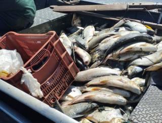 Pescadores recebem multa por pesca em área proibida no Rio Pardo com o Rio Grande