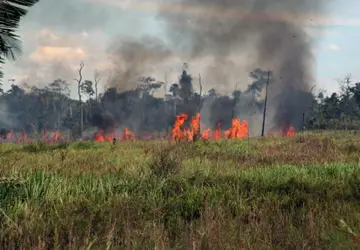 Lei proíbe queimadas no município - Foto: Google Imagens 