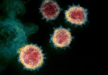 Sobe o número de casos positivos de coronavírus em Colômbia - Foto: Portal NC