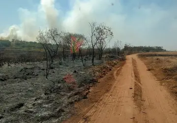Defesa Civil confirma preocupação com incêndios em áreas de vegetação de Colômbia - Foto: Portal NC