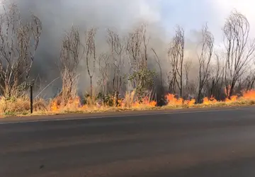 Incêndio de grandes proporções atinge canaviais próximo da área urbana de Colômbia - Foto: Maria Inácia 