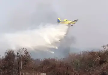Produtores alugam avião agrícola para combater incêndio em Colômbia - Foto: 
